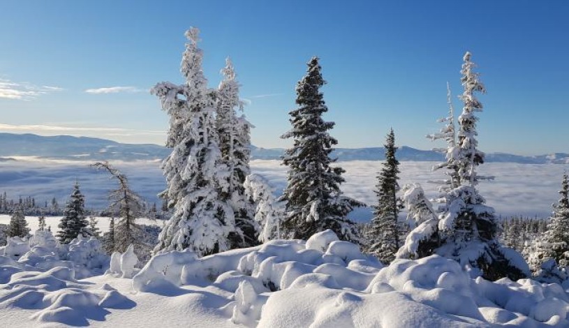 Hotel CROCUS **** Vysoké Tatry